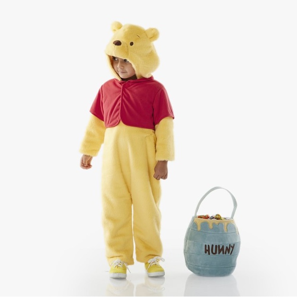 Pottery barn winnie the pooh and bag costume halloween 12-24 months toddler